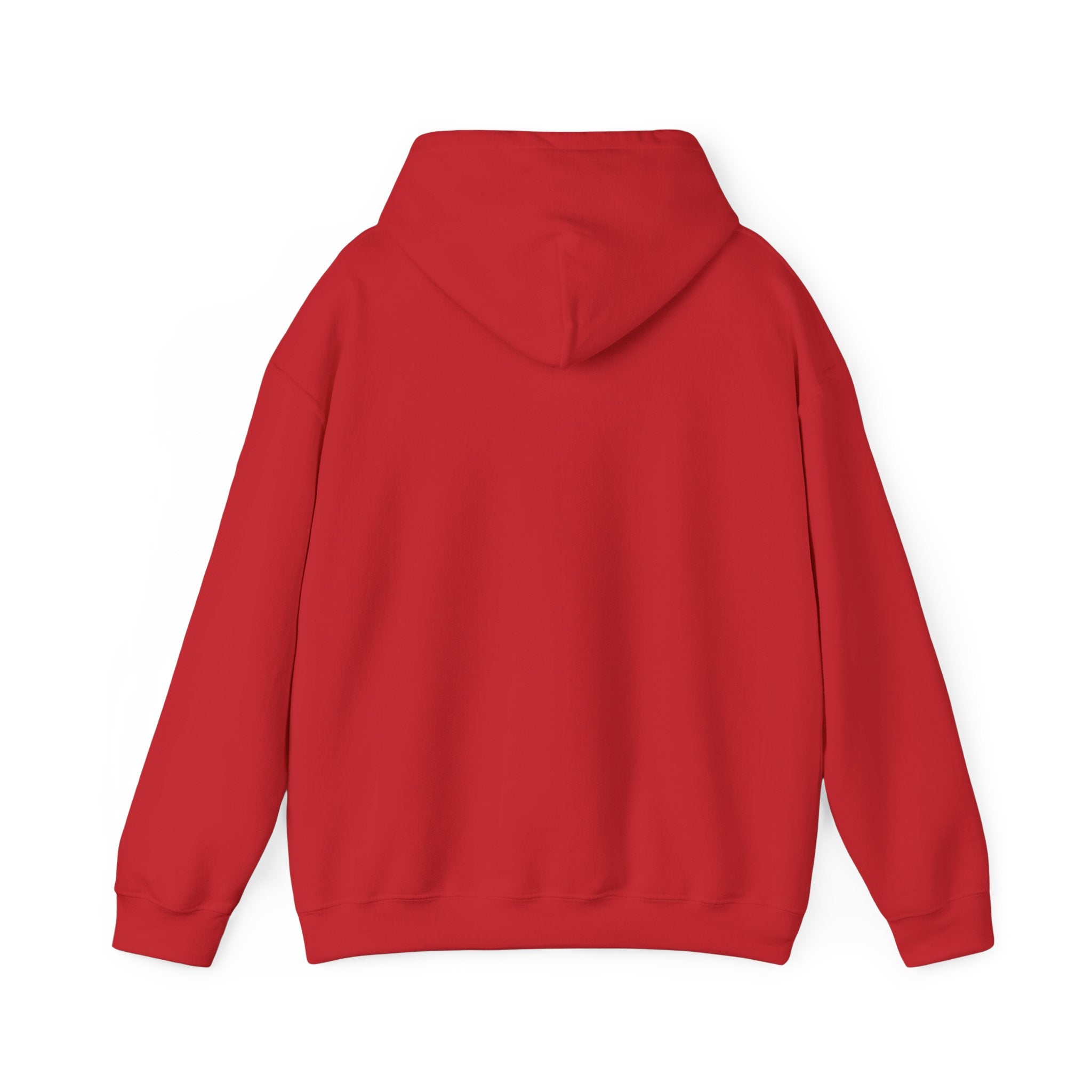Hoodie — 'NO DAYS OFF' Gold Motivational Pullover