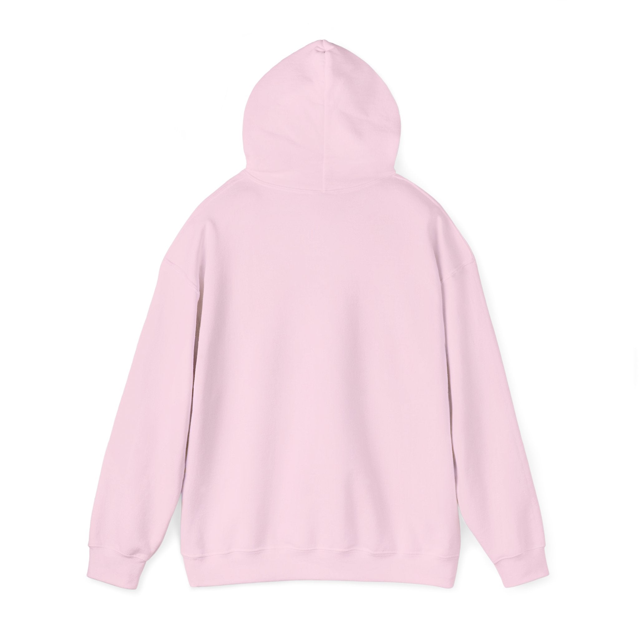 Colorful 'They're Not Like Us' Hoodie – Pride Rainbow Statement Sweatshirt