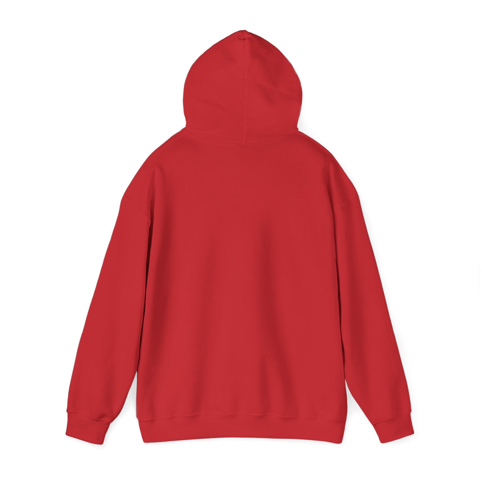 Hoodie — 'NO DAYS OFF' Gold Motivational Pullover