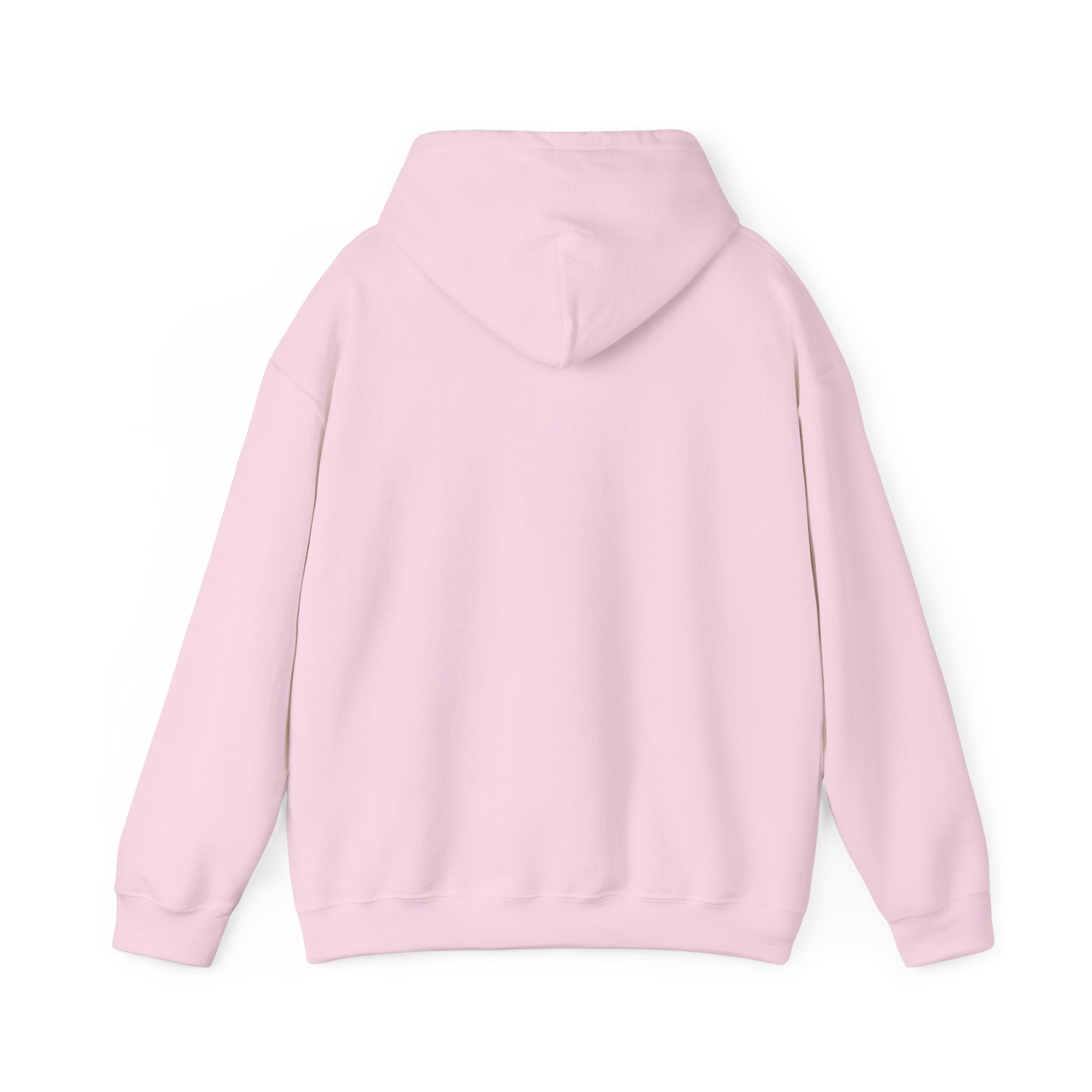 Colorful 'They're Not Like Us' Hoodie – Pride Rainbow Statement Sweatshirt